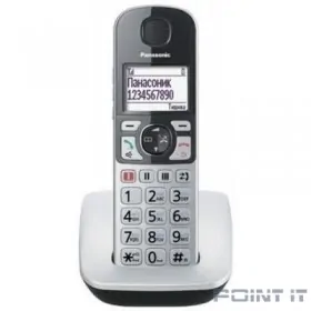Panasonic DECT KX-TGE510RUS