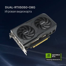 Видеокарта ASUS GeForce RTX5050 8Gb DDR6 128 bit 3*DP/HDMI 2 FAN (DUAL-RTX5050-O8G) RTL